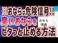 【ベストセラー】「おならは腸からのSOS！？臭いおならをピタッととめる方法」を世界一わかりやすく要約してみた【本要約】