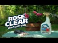 Roseclear 3 in 1 Action