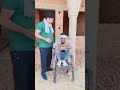 #funny #tmtworld #comedy #tmtstudioindia #fun #tmtians #memes #religion #cute #shortvideo #ytfeed