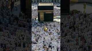 #سورۃ ولعصر #Surah aser#