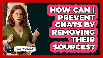 How Can I Prevent Gnats By Removing Their Sources? - Insects and Invaders