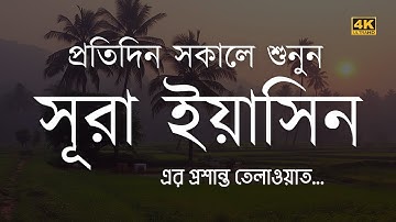 প্রতিদিন সকালে শুনুন - সূরা ইয়াসিন | Surah Yasin (سورة يس) by Alaa Aqel