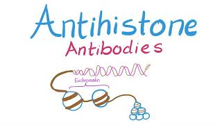 Antihistone Antibodies | Drug-Induced Lupus