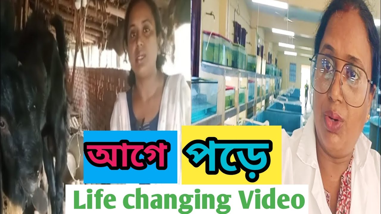সফলতা পাওয়ার রহস্য।। life changing motivitional।। Bakripalankaisekare ...