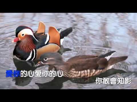 ka4雙人枕頭