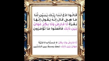 سورة البقرة الاية 68 المنشاوي