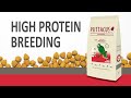 High Protein Breeding (versión española)