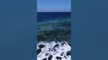سورة الرحمان كاملة الشيخ عبد الرحمان فارح رمضان 1445 2024