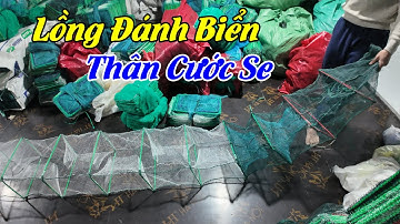 Video số 238 | Lồng Bát Quái Đánh Biển Sát Bờ - Nước Nợ - Thân Cước Se || Zalo: 0396.23.9999