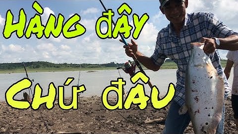 ĐỊA ĐIỂM CÂU CÁ LÝ TƯỞNG ĐẬP SÔNG RAY || CÁM SYTHOAIMAI LÊN ĐỦ LOẠI CÁ