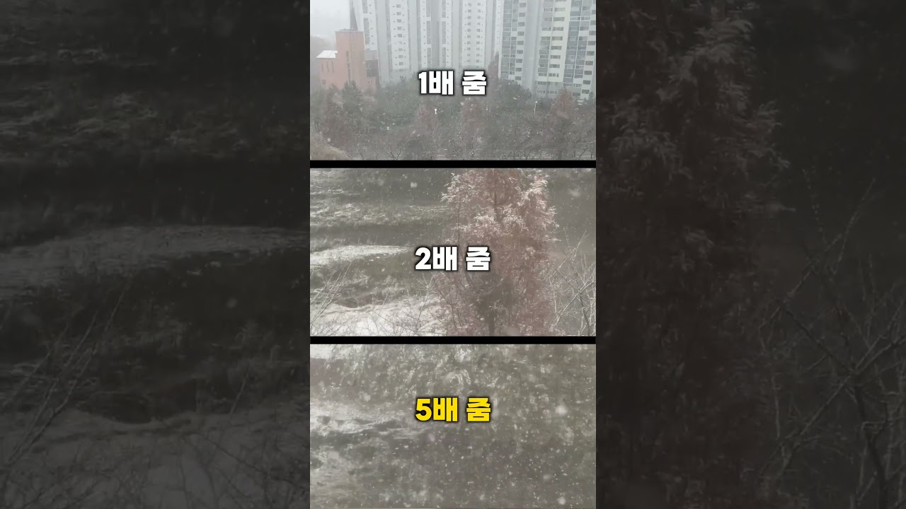 눈내릴 때 많이 오게 찍는 방법!!