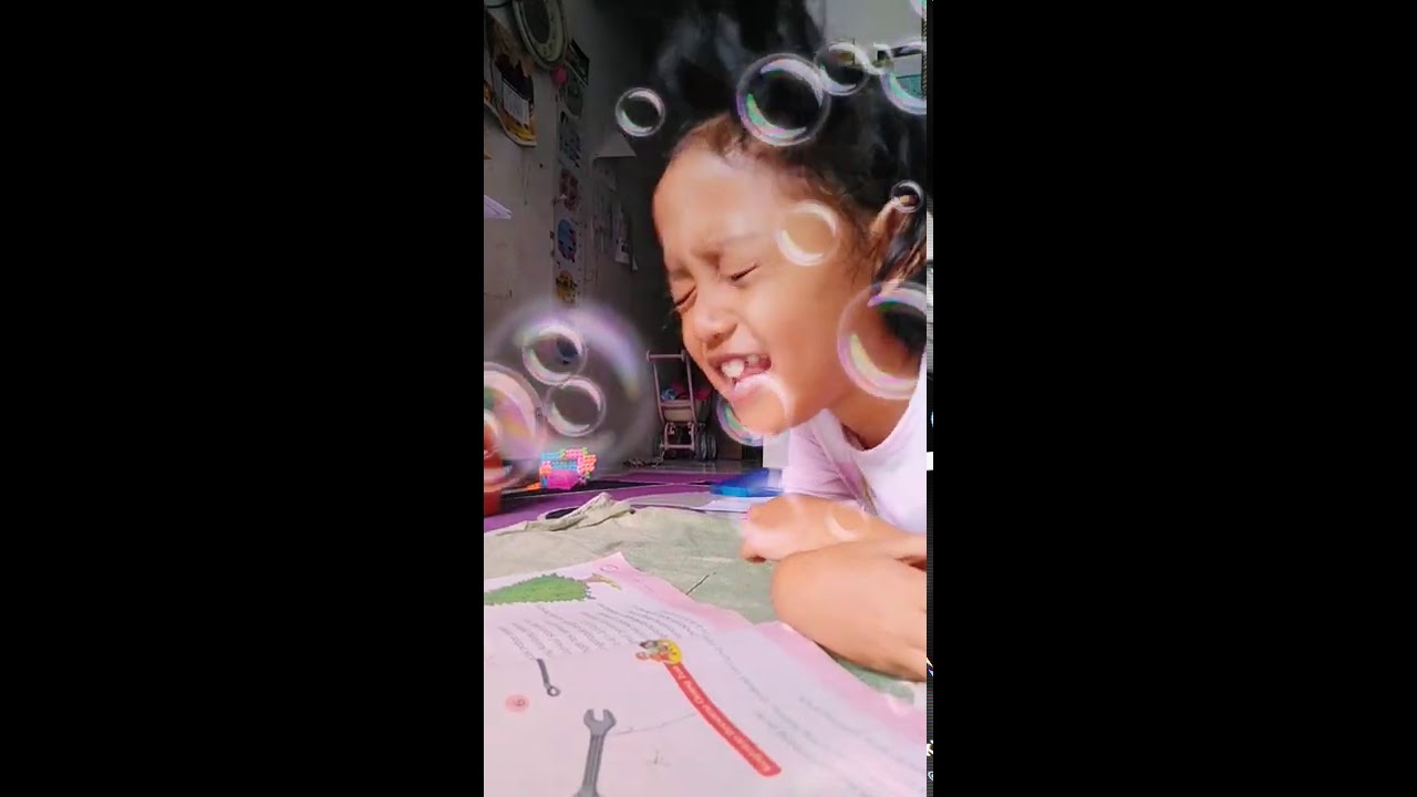 Burung Kutilang 