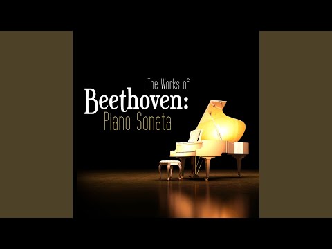 Piano Sonata No. 8 in C Minor, Op. 13 "Pathétique": III. Rondo - Allegro