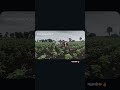 ✌️☺️💝..... माताश्री #shetkari #farming #bailgada #khetibadi #animals #sorts_video #shorts #sort