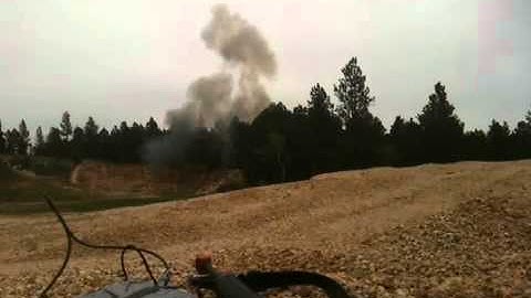 C4 meet trees , Trees meet c4