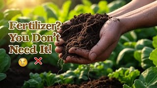 This Chinese Backyard Trick Replaces Fertilizer FOREVER (Big Companies Don’t Want You to Know!)