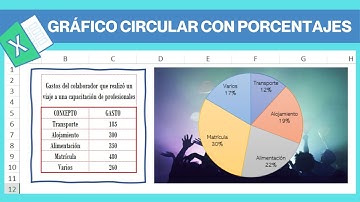 CÓMO INSERTAR UN GRÁFICO CIRCULAR CON PORCENTAJES EN EXCEL