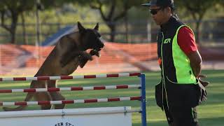 2021 NARA Western Regional French Ring Championship Highlights by Erin Suggett Photography 2,946 views 2 years ago 12 minutes, 1 second