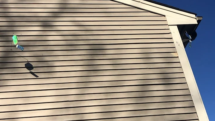 Safely Deterring Woodpeckers in Manasquan, NJ