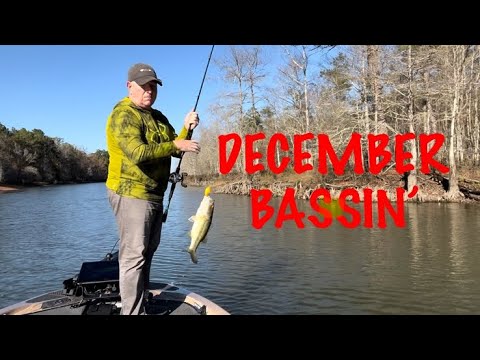 December Bass Fishing in Louisiana