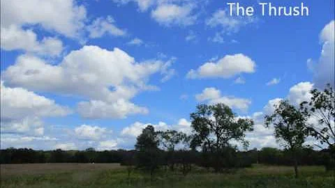 Ethelbert Nevin: The Thrush (from "O'er Hill and D...