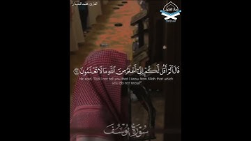 فلما أن جاء #البشير  ألقاه على وجهه #محمد_اللحيدان #حالات #ترند #دينية #قرآن #تلاوة_خاشعة #يوسف