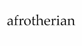 How to Pronounce afrotherian