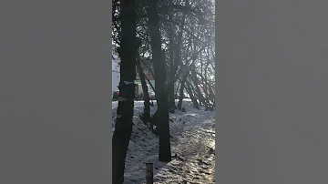 В Самаре эвакуировали 500 человек из ТЦ 