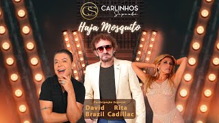 Vídeo de Haja Mosquito