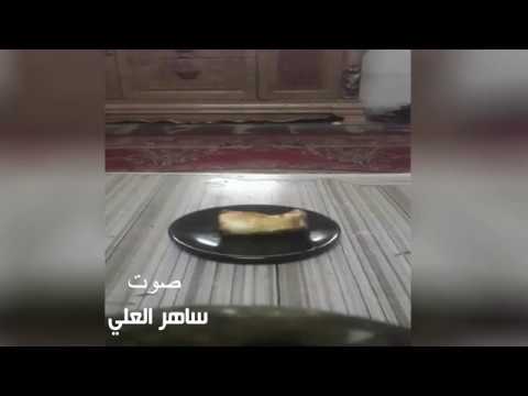 تحشيش اكتشافات مذهلة بصوت ساهر العلي