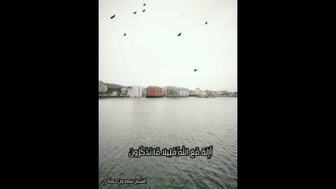 تلاوة للشيخ سعدون حمادي حفظه الله 🌹