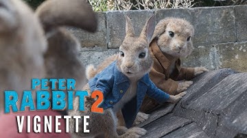 PETER RABBIT 2 Vignette - Your Favorite Characters are Back!