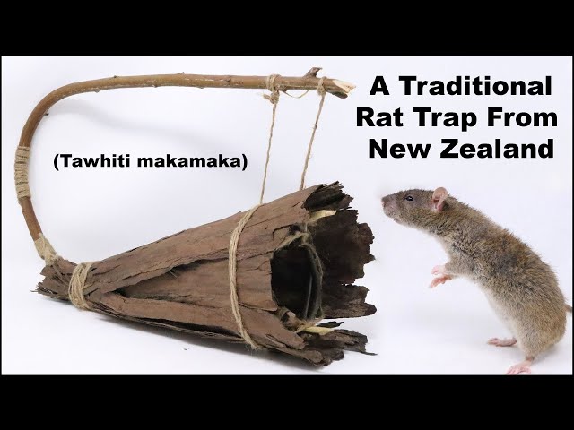 The Classic Mouse & Rat Trap - Traditional Wood Traps