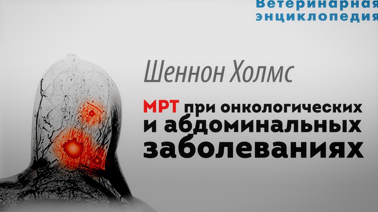 МРТ при абдоминальных и онкологических заболеваниях