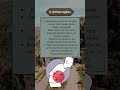 Síndrome de Peutz-Jeghers #peutzjegherssyndrome #sindrome #sintomas #medicina