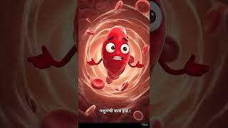 MenstruationFacts