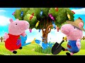 Peppa e George plantaram uma semente mágica! Peppa Pig e sua família em português