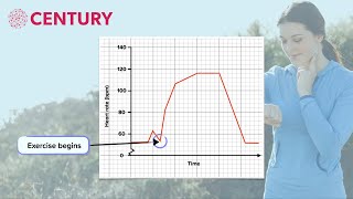 Heart Rate Graphs | Physical Education