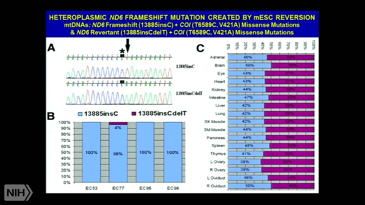 A Mitochondrial Etiology of Metabolic and Degenera...