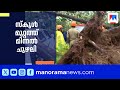 സ്കൂൾ മുറ്റത്ത് മിന്നൽ ചുഴലി; മരങ്ങൾ കടപുഴകി വീണു | Thrissur | Rain