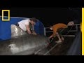 Shark Tagging and Discovery Challenges