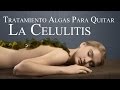 Tratamiento de Algas para Reducir la Celulitis o Quitar Grasas