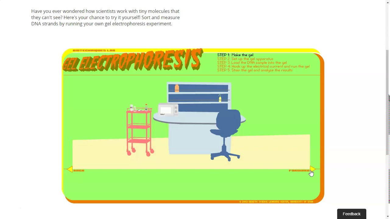 Virtual Gel Electrophoresis Lab YouTube