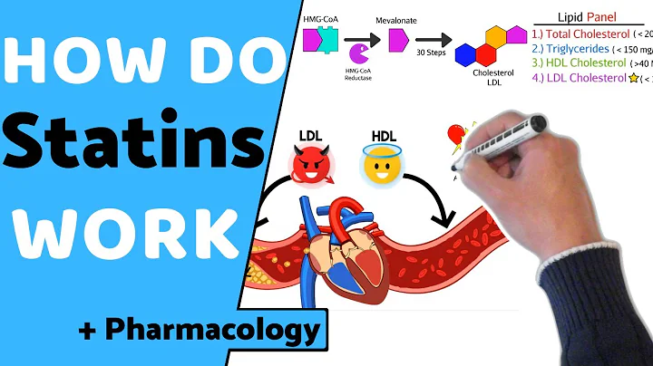 How do Statins Work? (+ Pharmacology) - DayDayNews