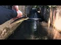 ウキと水中に注目!用水路の行き止まりで魚を泳がせると・・・