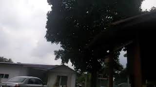 Vlog Di Kampung Rantau NS, ambil buah serengkuh...