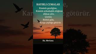 A Güzelliği Hz. Mevlanadan Hayat Dersi