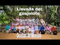 Guelaguetza 2021 🇲🇽 OCOTLÁN DE MORELOS Y LA LLEVADA DEL GUAJOLOTE | ASI SON LAS BODAS EN ESTE LUGAR