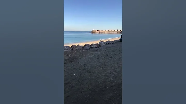 Normal sight seeing in Algeria 🤣 #sightseeing #algeria