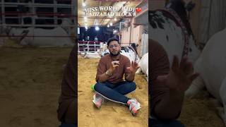 Miss world ahsas Qurbani 2026 | #muajwithussman #missworld #qurbani2026
